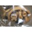 Brandstofopvoereenheid 2.5 V6 TDI Audi A4 Bj 01-08
