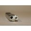 Antenneversterker links boven Audi Q3 Bj 12-14