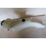 Ruitensproeiervloeistofreservoir Audi A4, S4, RS4 Bj 99-02