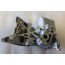 Oliekoeler incl. houder 1.8/2.0 TFSI Audi A3, A4, A5, TT Bj 04-12