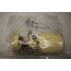 Brandstofopvoereenheid 2.5 V6 TDI Audi A6 Bj 02-05