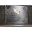 Dashboardafdekking aluzilver-geborsteld Audi A8, S8 Bj 10-13