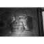 Deksel huis regelapparaten Audi A6, S6, A7, S7, RS7 Bj 11-heden