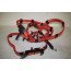 Kabelset voor accu + Audi A6, S6, RS6, A7, S7, RS7 Bj 11-heden