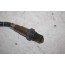 Lambdasonde 2.7/3.0 TDI Audi A4, A5, A6, A7, A8, Q5 Bj 08-14