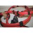 Kabelset voor accu + Audi A6, S6, RS6, A7, S7, RS7 Bj 11-heden