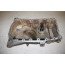 Carterpan 2.0 TFSI Audi A4, A6 Bj 05-08