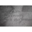 Carterpan 2.0 benzine Audi A4, A6 Bj 01-05