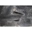 Spiegelkap links Audi A8, S8 Bj 03-07
