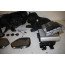 B&O set Audi A7, S7, RS7 Bj 11-17