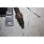 Nox-sensor 3.0 V6 TDI Audi Q7 Bj 07-09