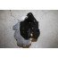 Portierslot LA Audi A4, S4, A5, S5, Q3, RSQ3, Q5, Q7 Bj 08-18