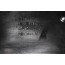 S5 grille twilight mat Audi S5 Bj 17-heden