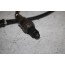 Lambdasonde 3.0 V6 TDI Audi A5, A6, A7, A8, Q5, Q7, Q8 Bj 16-heden