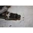 Nox-sensor 3.0 V6 TDI Audi Q5 Bj 17-heden