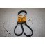 Contitech multiriem 5 PK 1680