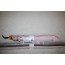 Hoofd-airbag rechts Audi A1, S1 Sportback Bj 15-18