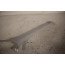 A-stijlbekleding RB maanzilver Audi Q5 Bj 09-17