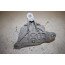Rubbermetaalsteun Audi A4, A5, A6, A7, Q5, SQ5 Bj 08-16