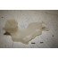 Portierslot-afdekking LV Audi A7, S7, RS7 Bj 11-18