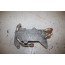 Versnellingsbakoliekoeler Audi A6, S6, RS6, A7, S7, RS7, A8, S8 Bj 10-heden