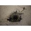 Onderdrukpomp 4.0 V8 TFSI benz. Audi S6, RS6, S7, RS7, A8, S8 Bj 10-18