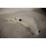 Sproeiervloeistofreservoir Audi A8, S8 Bj 10-13