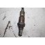 Lambdasonde 3.0 V6 TFSI benz. Audi A4, S4, A5, S5, A6, A7, Q5 Bj 07-18