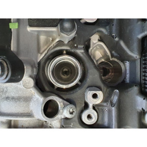 Motor 3.0 V6 TFSI benz. Audi S4, S5, SQ5 Bj 16-18